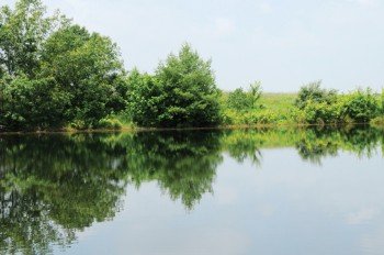 Property photo 21 - 1,025 Acres in 24 Tracts - Exellent Recreation Opportunity - Potential Building Sites - 11 Lakes & Ponds